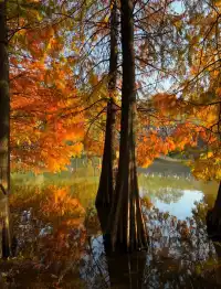 南京賞秋拍照路線旅遊攻略