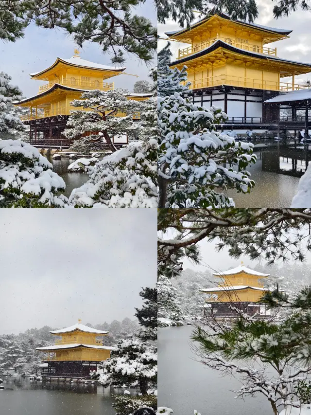 New Year's Day Japan Charter Tour | 7-Day Highlights Route in Kanto and Kansai