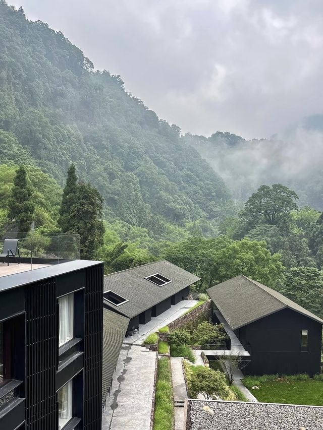 來峨眉山住進這家神仙民宿，隱於山林間的治癒系旅居體驗