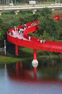 深圳虹橋公園遊玩全攻略!