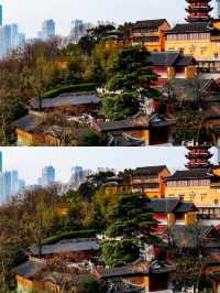 總要去趟雞鳴寺吧 赴一場浪漫之約