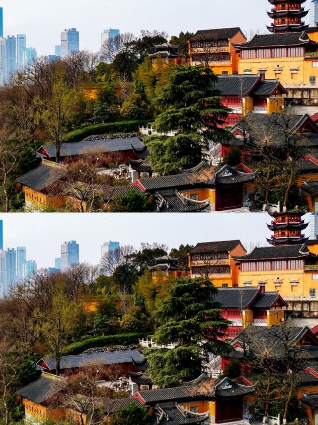 總要去趟雞鳴寺吧 赴一場浪漫之約 總要去趟雞鳴寺吧 赴一場浪漫之約