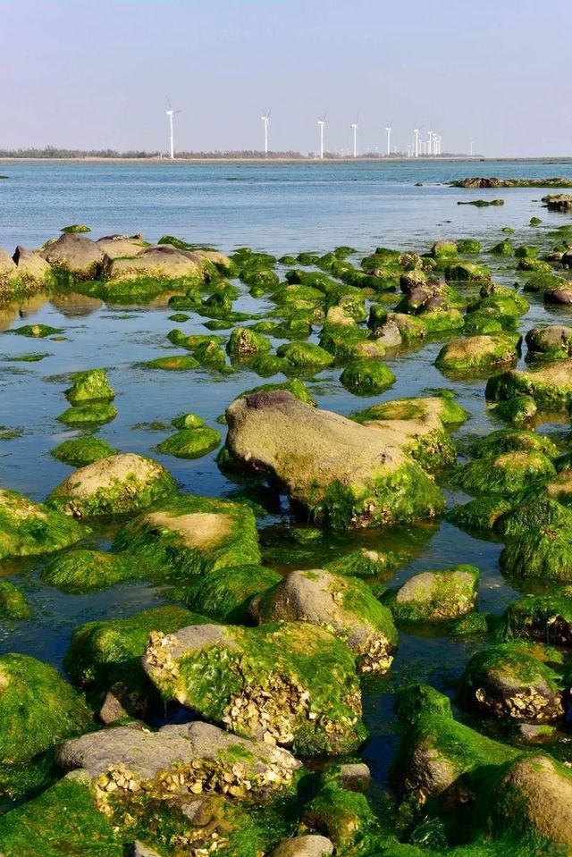 被問爆的南端海景民宿,趕海看日出太絕 被問爆的南端海景民宿,趕海看日出太絕