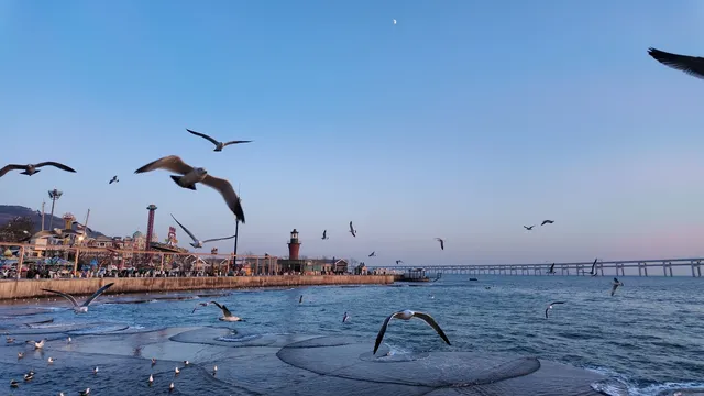 關於大連的初冬記憶 關於大連的初冬記憶