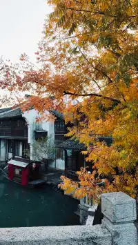 嘉興不要只去烏鎮啦!!這個古鎮人少景美