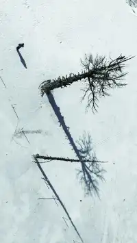 川西自駕三千公里,就是為了這十八張照片