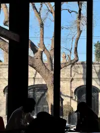 北京冬天 個胡同深處的大隱隱於市 