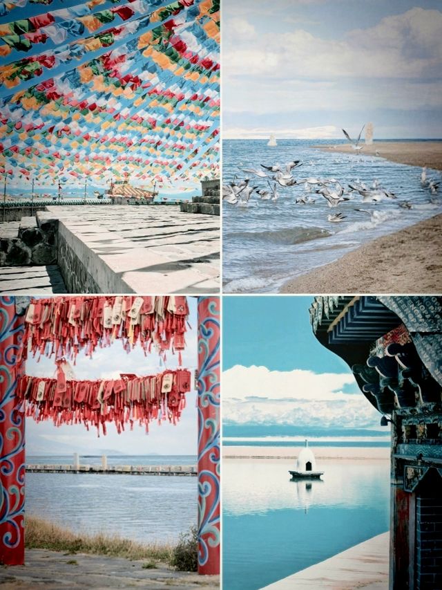 藍冰季限定預告！還有這裡可以免費直達