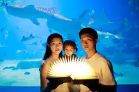 不到 150 找的珠海長隆跟拍踩雷了嗎?