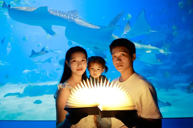 不到 150 找的珠海長隆跟拍踩雷了嗎? 不到 150 找的珠海長隆跟拍踩雷了嗎?