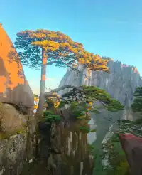 十三天，八個城市