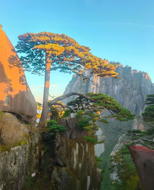 十三天，八個城市