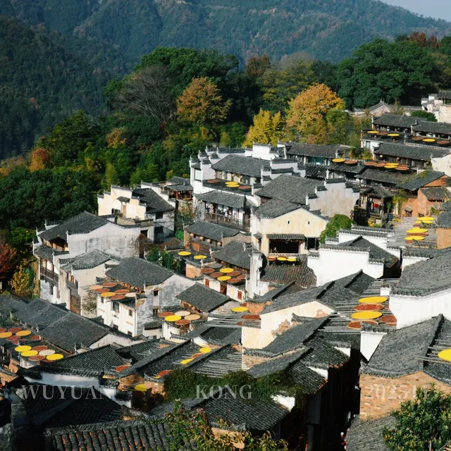 婺源旅遊體驗真的挺好 婺源旅遊體驗真的挺好