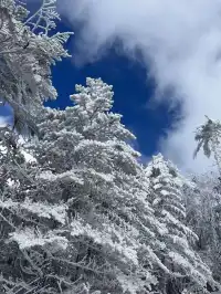 12月中莽山現狀,冷到哭,崩潰到想逃...