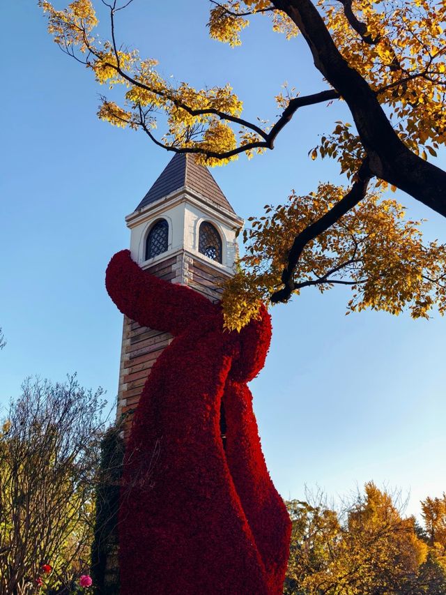 冬日限定！昆明翠湖與紅嘴鷗的浪漫邂逅