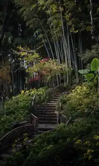 上海市中心兩小時賞秋路線