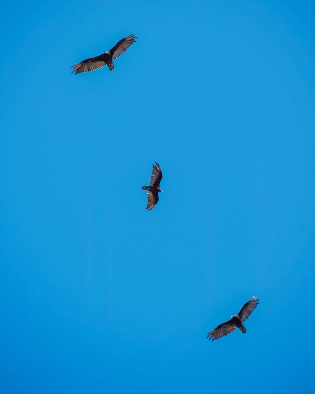 美國尖頂國家公園2日旅遊攻略