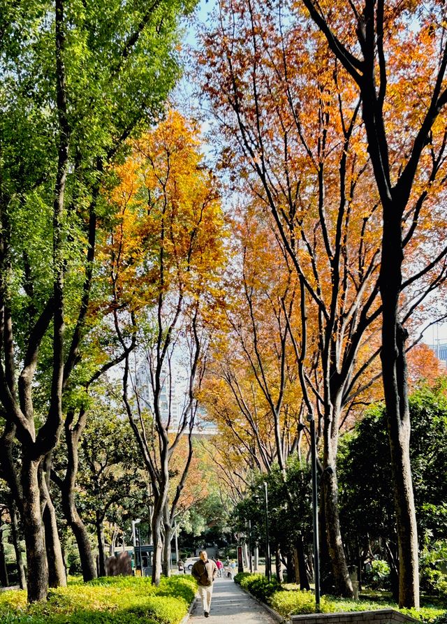 魔都小眾治癒地輔德里公園|市中心藏的森林綠洲 魔都小眾治癒地輔德里公園|市中心藏的森林綠洲