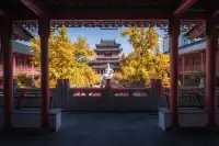 該怎麼向你描述南京的秋天呢