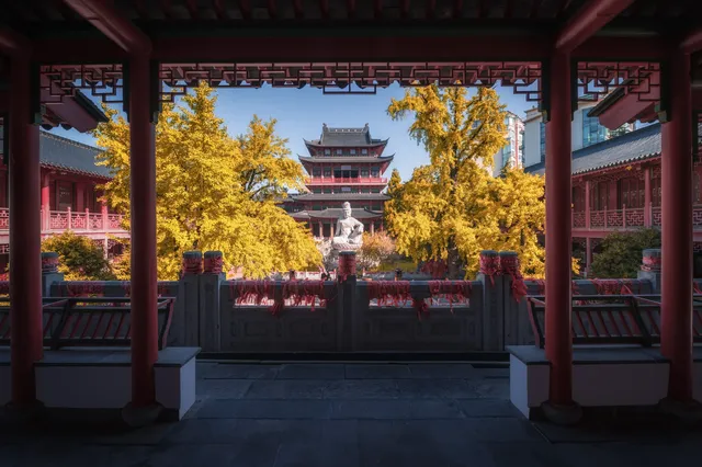 該怎麼向你描述南京的秋天呢 該怎麼向你描述南京的秋天呢