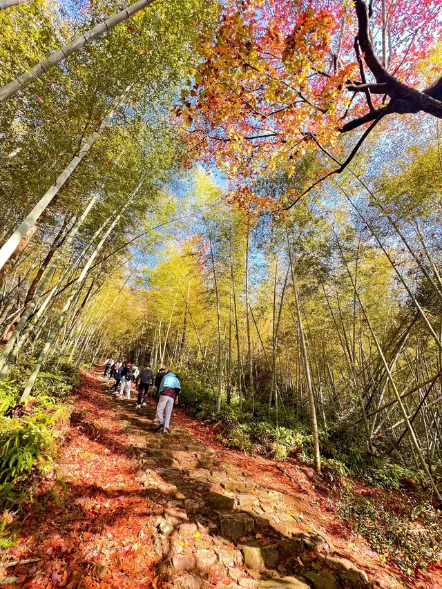 台州賞秋封神4條徒步路線建議收藏~ 台州賞秋封神4條徒步路線建議收藏~
