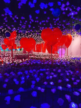 這個聖誕節適合沉浸在500萬盞燈海裡
