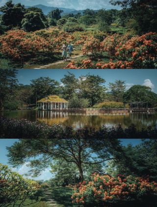  Xishuangbanna · Dive into a Tropical Dream with Southeast Asian Vibes