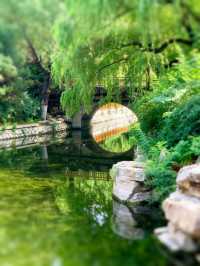 保定這座江南風公園是夏日避暑的仙境！