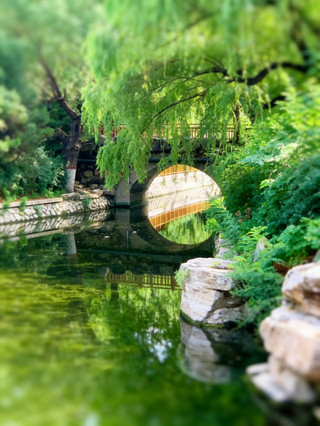 Baoding's Jiangnan Style Park is a magical summer retreat!