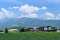 富良野｜北海道治癒田園秘境