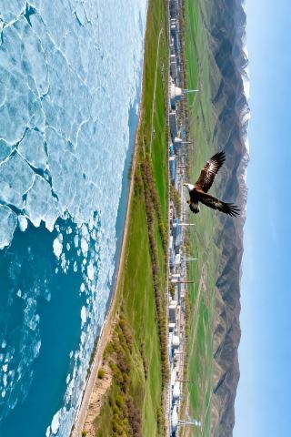 追《生命樹》赴青海！6天5晚沉浸式攻略，高原浪漫全解鎖