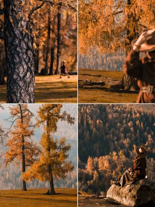  How to explore the top autumn tour in Northern Xinjiang in 2026?