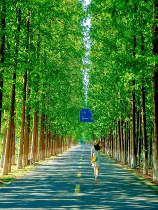 No need to travel all the way to Xinjiang! The northern shore of Nanjing hides a free wilderness locals call Little Altay!