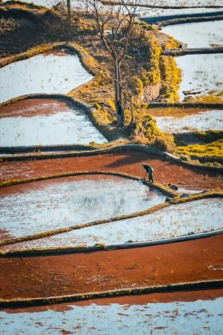 Catch the sunset at Bada Terraced Fields from Jianshui—avoid these timing pitfalls
