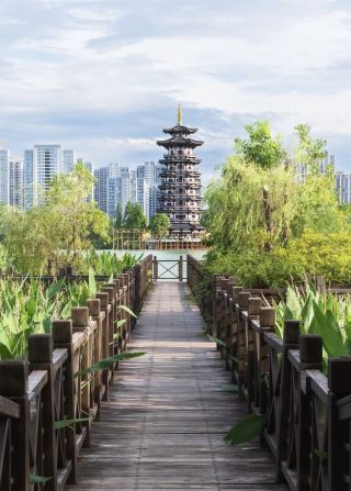 Changsha's hidden gem, Yanghu Wetland Park, perfectly captures the Jiangnan vibe