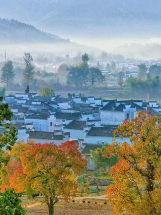 Autumn in Lucun, Huangshan | A Huizhou painting hidden in the morning mist