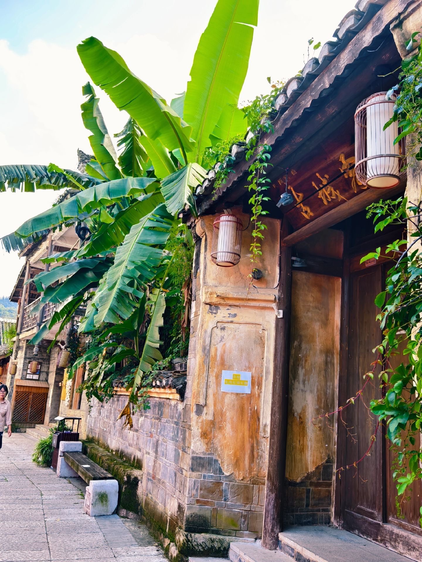 Tour trong ngày Zhenfeng | Đỉnh đôi + Thành cổ, Hướng dẫn toàn diện