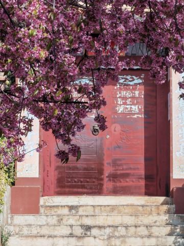 Panzhihua is so beautiful it'll make you cry! 4 must-visit scenic spots in October and November