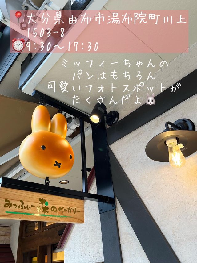 【大分グルメ】大分パン屋オススメ5選🍞