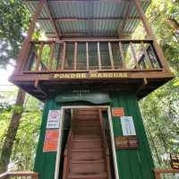 BREATHTAKING TREETOP WALK
