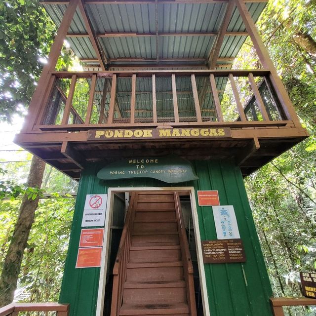 BREATHTAKING TREETOP WALK