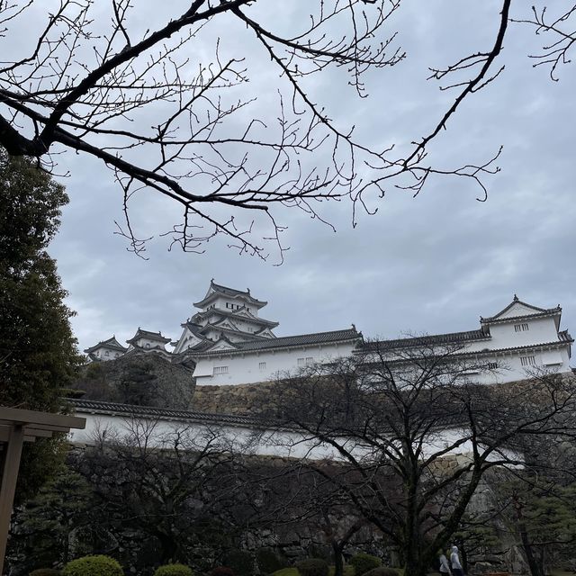 日本🇯🇵三大名城之一‼️國寶雪白姬路城🥹冬日浪漫💕日本🗾城
