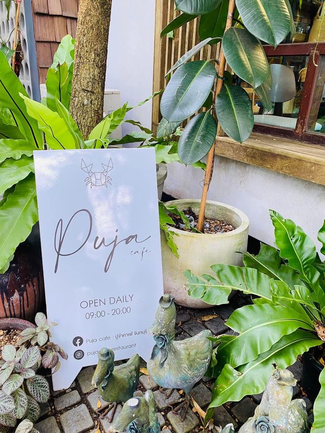 PUJA CAFE 📍
