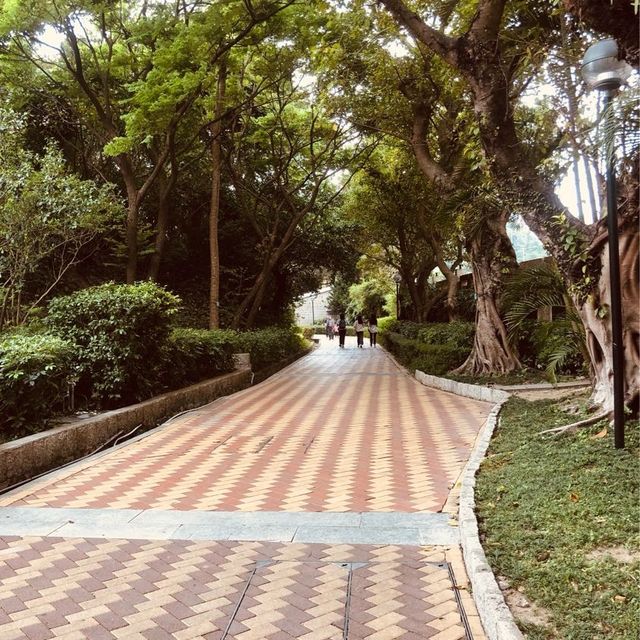 Giant Pandas At Macau's Seac Pai Van Park
