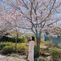 지금 창원에 가야되는 이유🌸💓