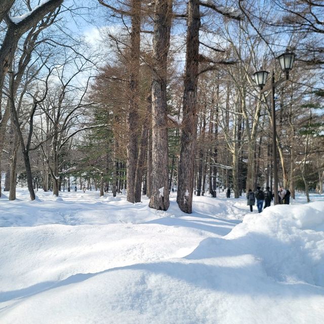 눈이 가득한 삿포로의 마루야마 공원 円山公園 일본여행