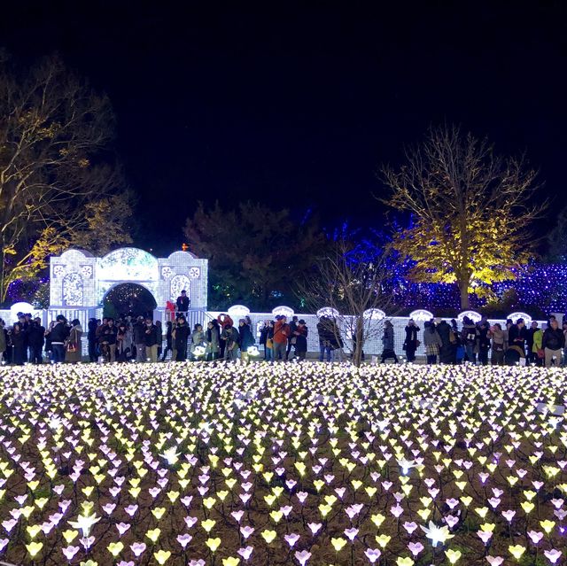 Magical Flowers Illumination in Japan