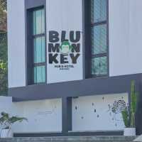  Blu Monkey Hub & Hotel Ranong 