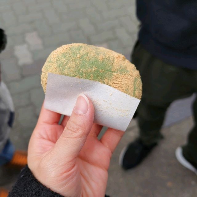 Mochi at Nara