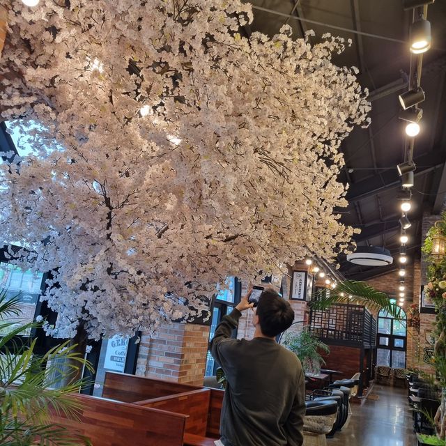 놀면 뭐하니? 에도 나온 그 유명한 브런치 카페! 양주 제로니모 커피하우스☕️